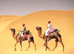 3 nights 4 days blissful rajasthan tour