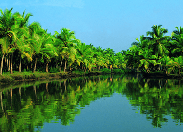 3 nights 4 days kerala tour