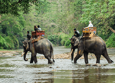 3 nights 4 days thekkady elephant junction with alleppey houseboat tour
