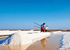 8 nights 9 days golden triangle with rann of kutch tour