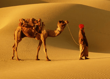 8 nights 9 days rajasthan desert trail