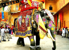 9 nights 10 days classic rajasthan tour