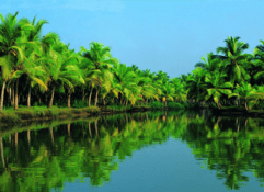 10 Nights / 11 Days Golden Triangle With Majestic Kerala Tour