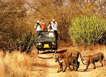 13 Nights / 14 Days Wildlife Adventure Tour in India