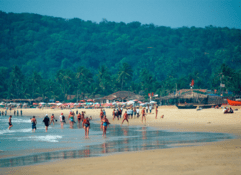 3 Nights / 4 Days at Goa