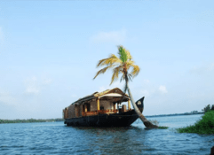 6 Nights / 7 Days Kerala Hills with wildlife & Backwater Tour