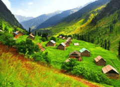 7 Nights / 8 Days Valley of Kashmir