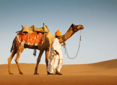 8 Nights / 09 Days Rajasthan Desert Trail