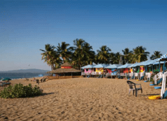 9 Nights / 10 Days Glimpse Kerala with Goa Tour