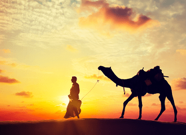 9 Nights / 10 Days Rajasthan with Kerala Tour