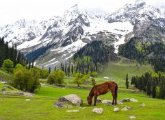 Pahalgam tour, Pahalgam tour packages, golden triangle tour, golden triangle India, Kashmir Tour, Kashmir Tour Packages.